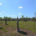 Magnetic termite mounds.