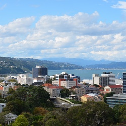 Wellington, Pasen 2014