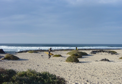 Surfers on the beach, Fuerteventura.