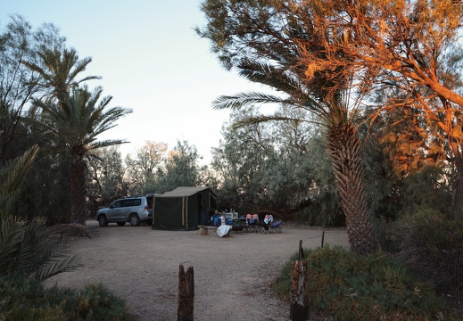 Onze kampeerplaats tussen de palmen.