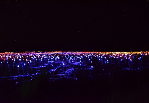 Field of Lights