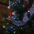 Acrobatisch in de kerstboom.